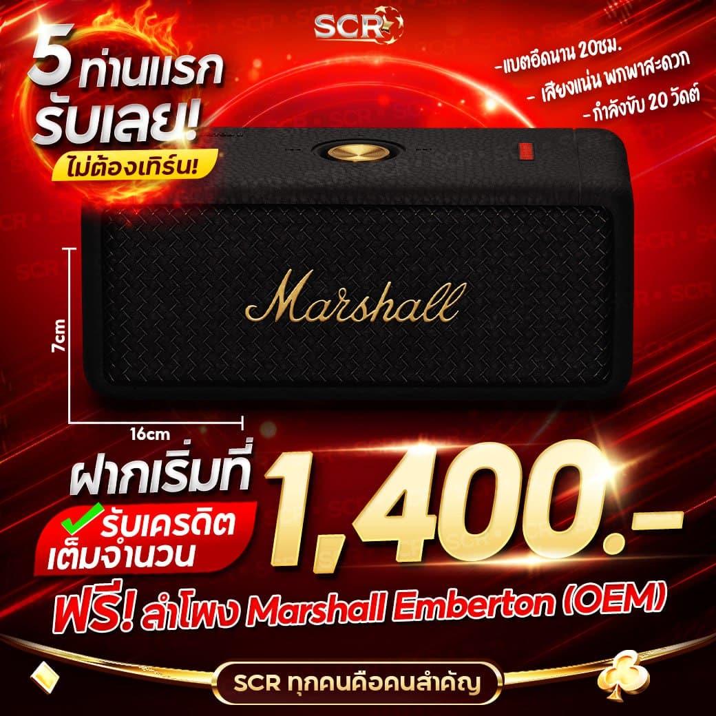 การเข้าถึงที่สะดวก