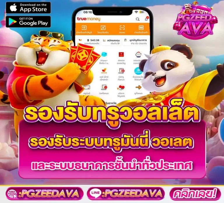 เข้าถึงข้อมูลสถิติและการวิเคราะห์
